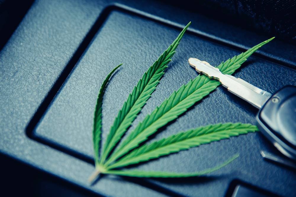 Dépistage du Cannabis au Volant et Tests Stupéfiants - SauverMonPermis